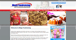 Desktop Screenshot of megafundraising.com